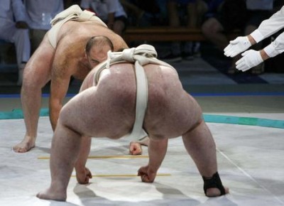 sumo.jpg