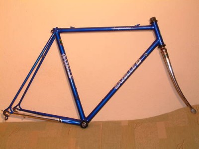 xt77.jpg