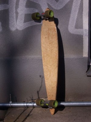 pintail2_fin.JPG
